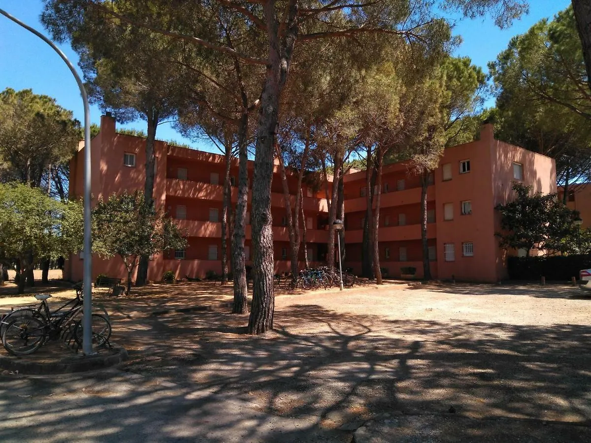Apartment Bonito Apartamento, Con Piscina, Excelente Wifi Y Aire Acondicionado Pals